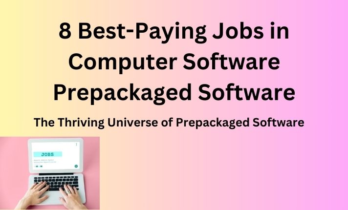 The Thriving Universe of Prepackaged Software